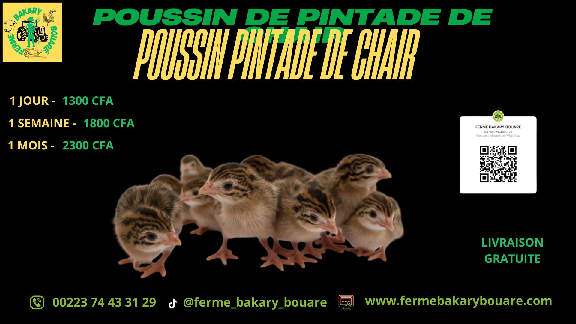 POUSSIN PINTADE DE CHAIR